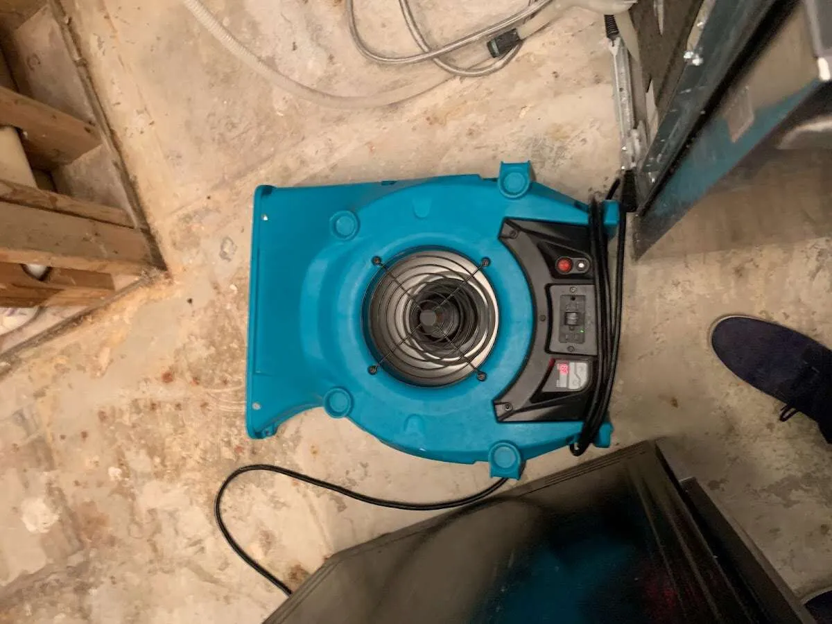 Air mover drying equipment for Mold Remediation & Removal in Walworth